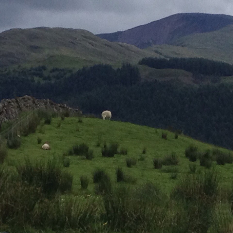 Vereinigtes Königreich - Fort William - 