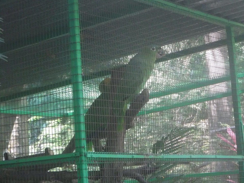 Costa Rica - Perez Zeledon - 