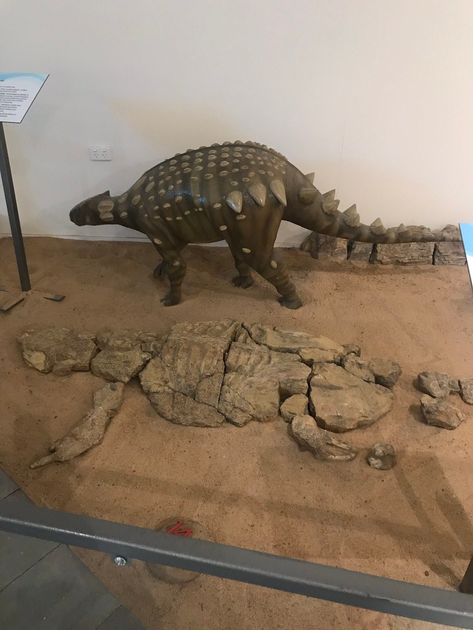 Australia - Richmond - Somesortasaurus !