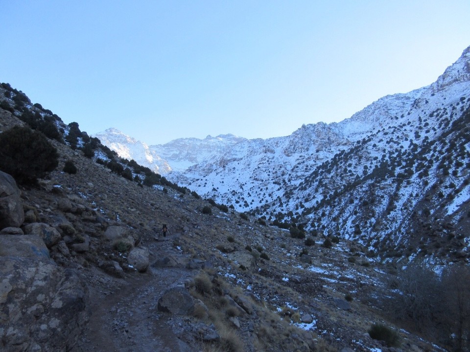 Morocco - Taroudant - 