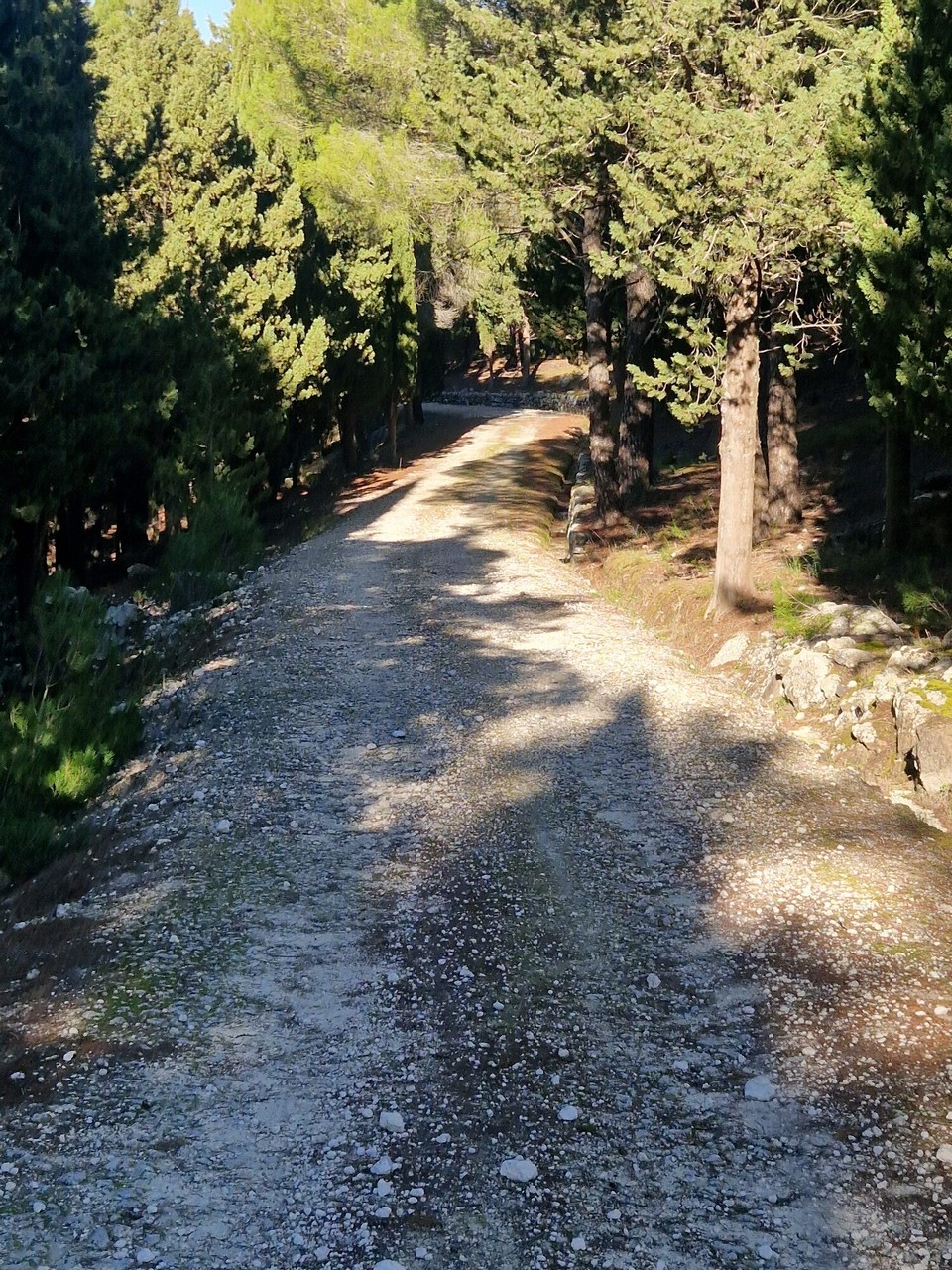 Italien - Augusta - 