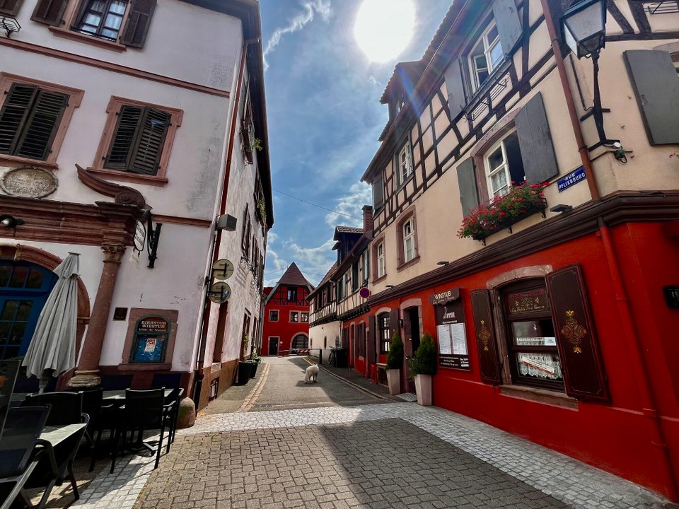 Frankreich - Ribeauville - 