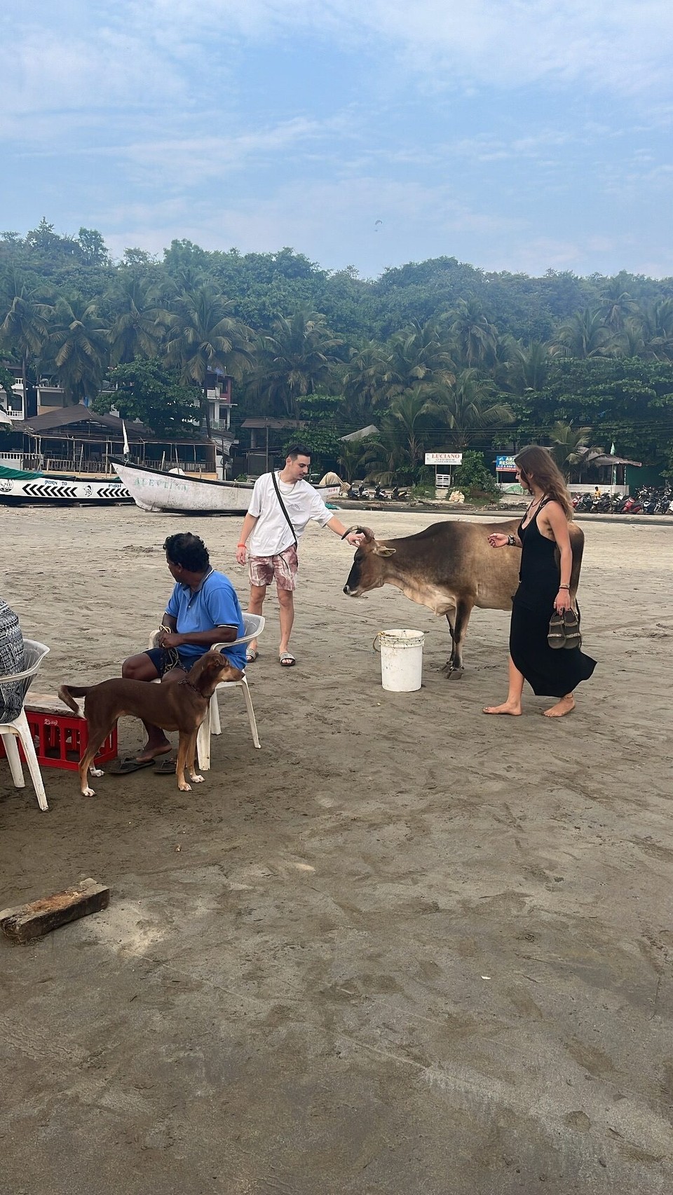 הודו - Arambol - 