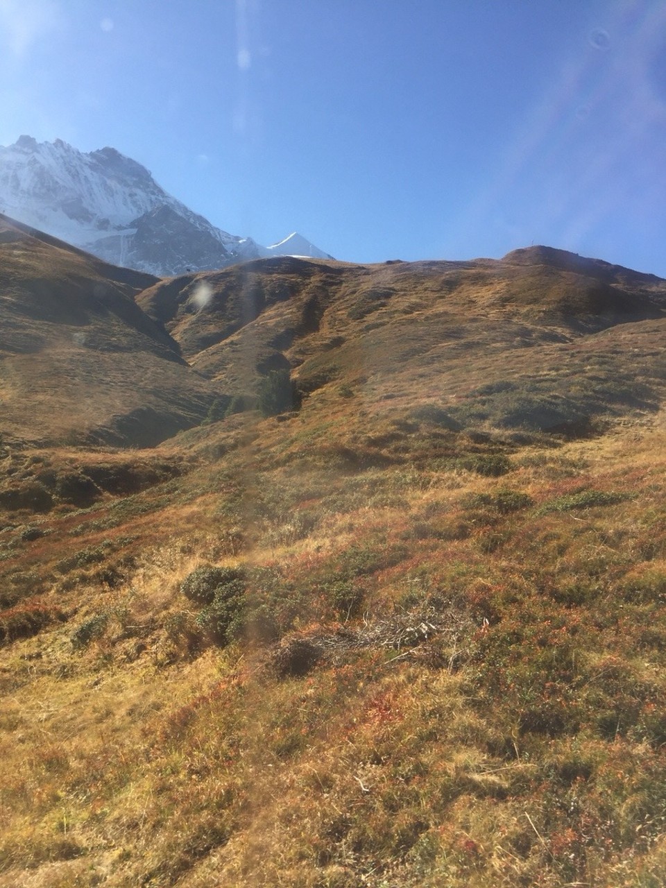 Schweiz - Grindelwald - 