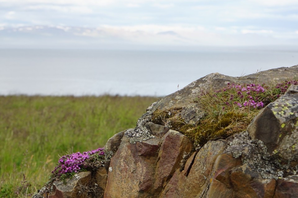 Island - Akureyri - 