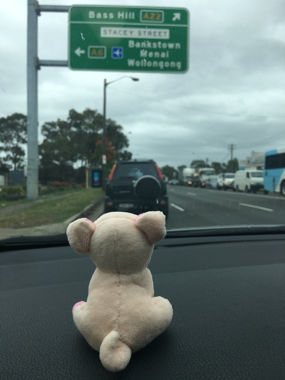 Australien - Canberra - Erster Lotser