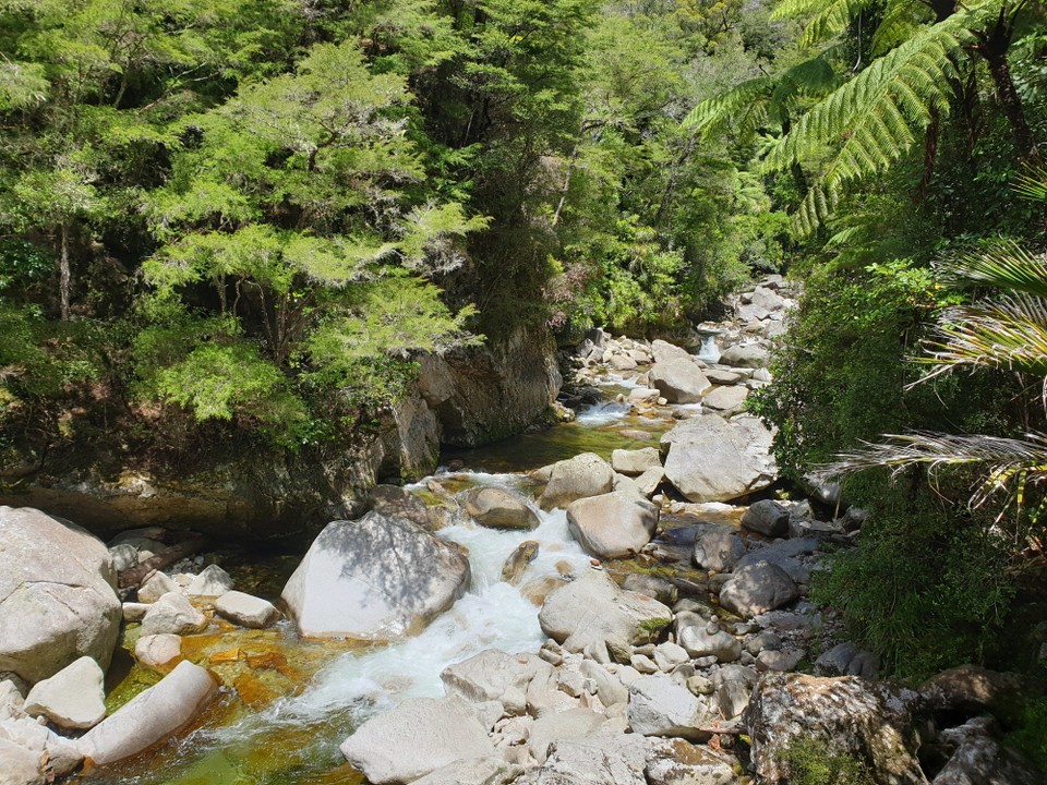 Neuseeland - Nelson - 