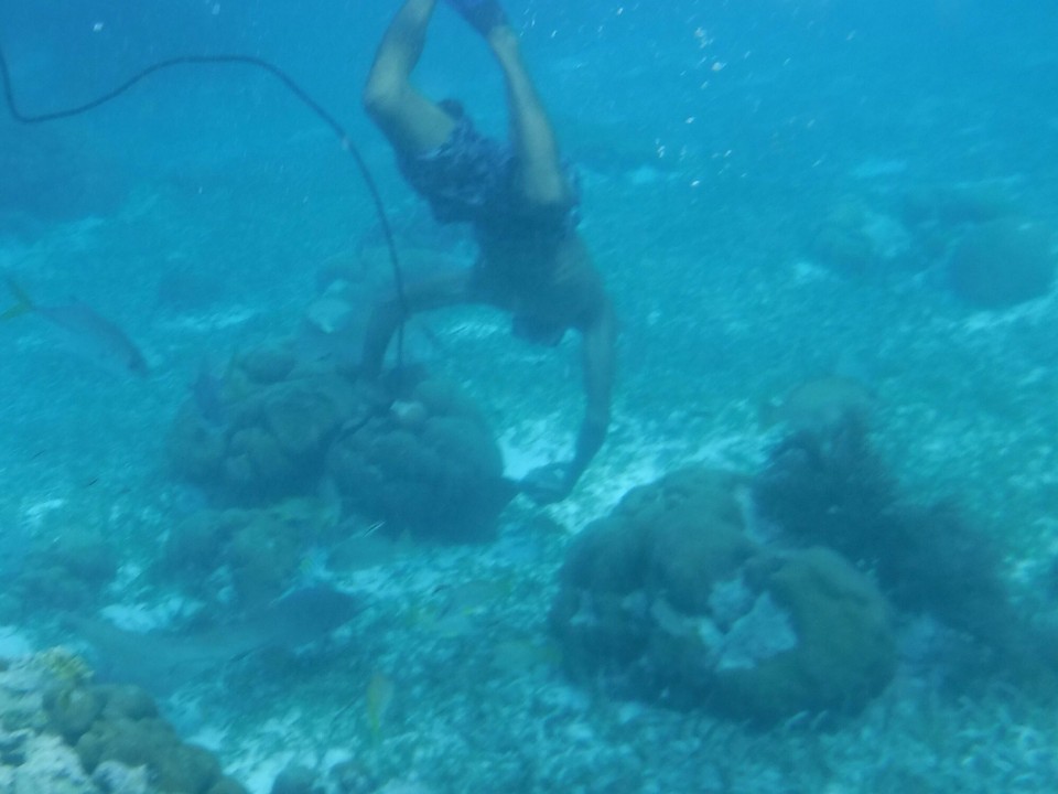 Belize -  - 