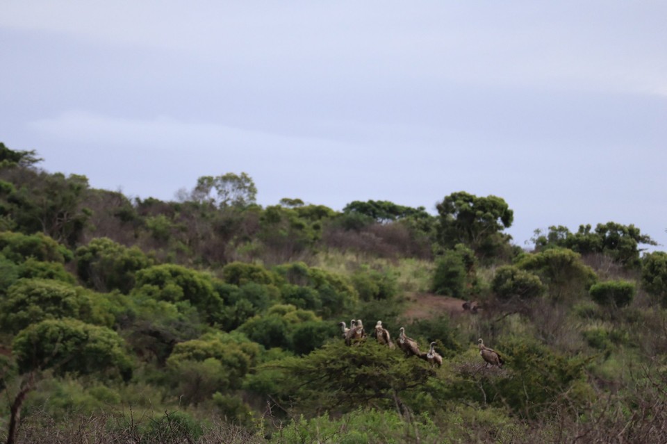 Südafrika - Durban - 