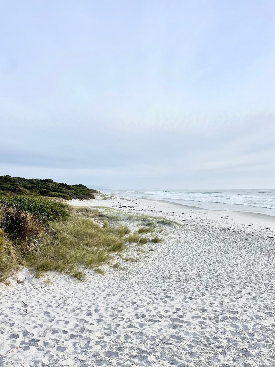 Australien - Freycinet - 