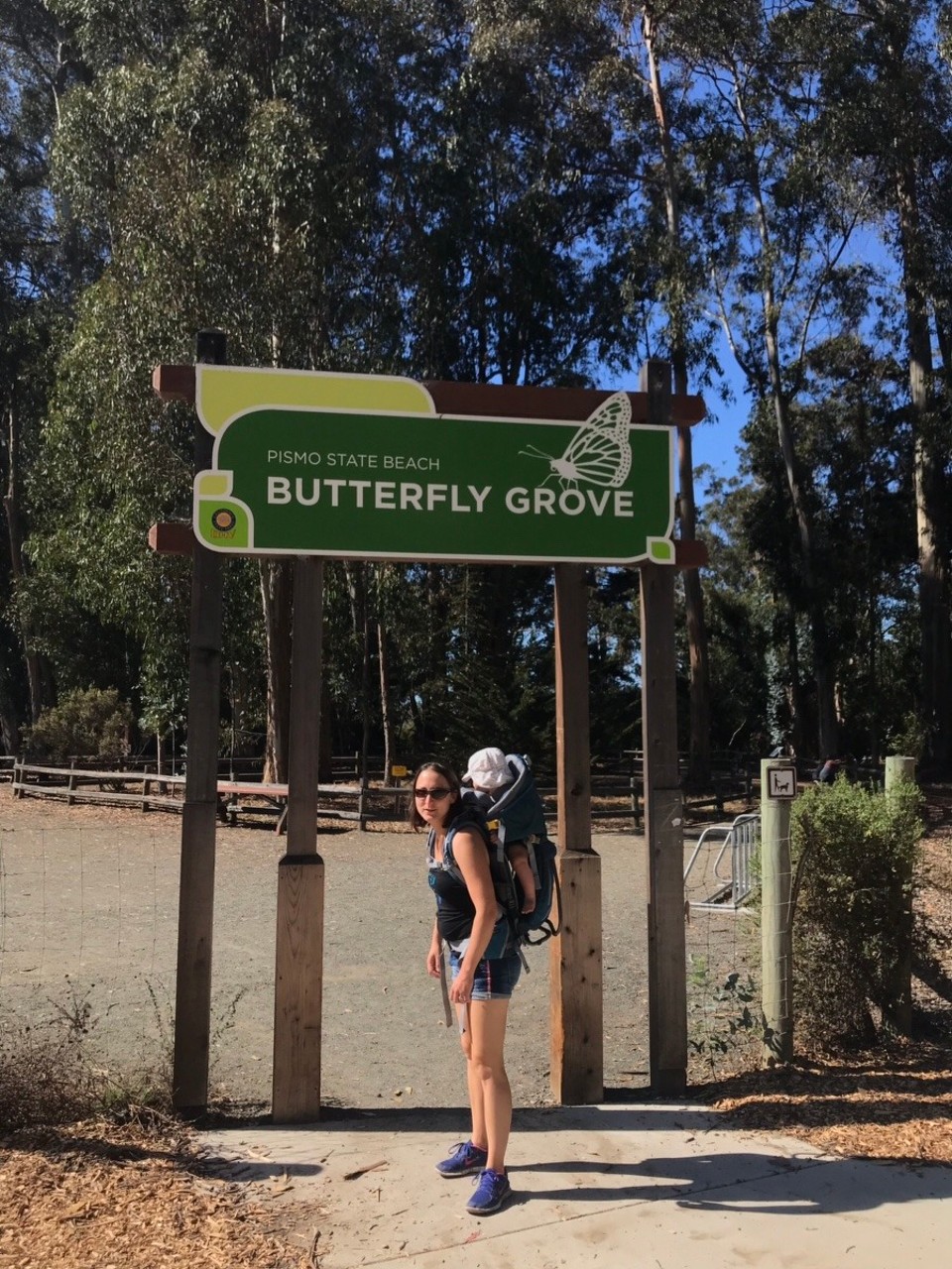Vereinigte Staaten - Pismo Beach - Viele butterflies, aber keiner wollte so richtig vor die Kamera... 