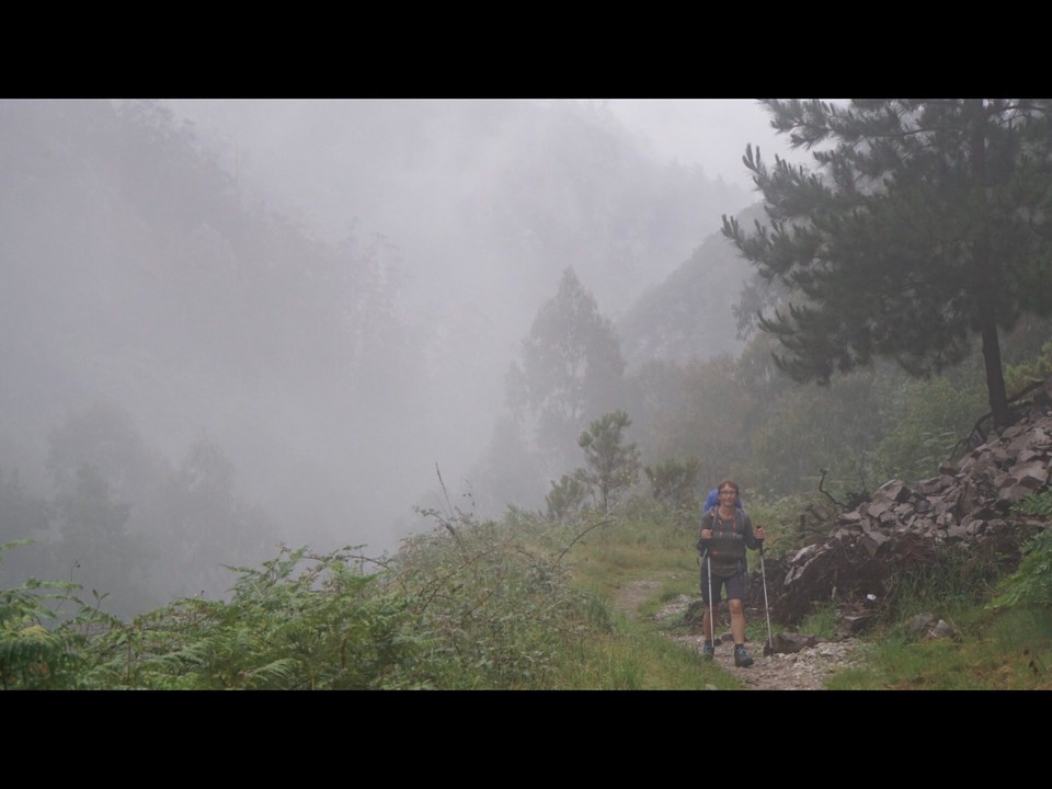 Spanien - Tineo - Nebel