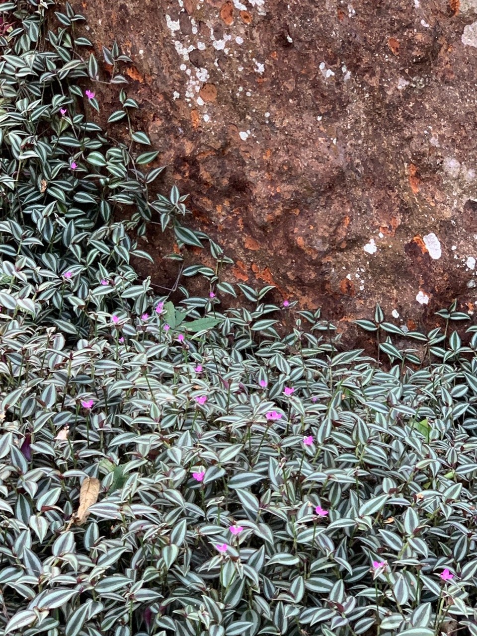 Laos -  - 