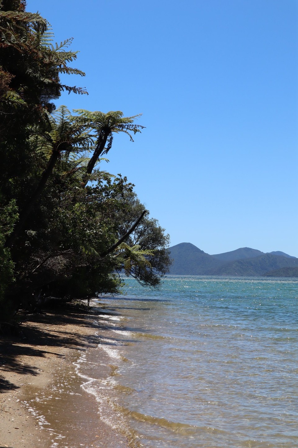 Neuseeland - Picton - 