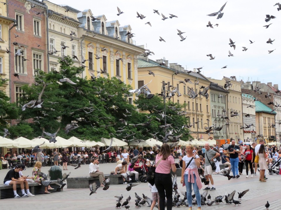 Polen - Krakau - 