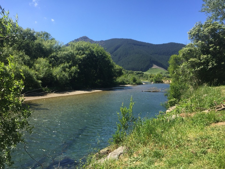  - Neuseeland, Rai Valley, Brown River Reserve - 