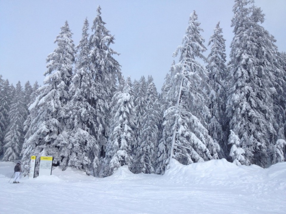 Österreich - Schruns - 