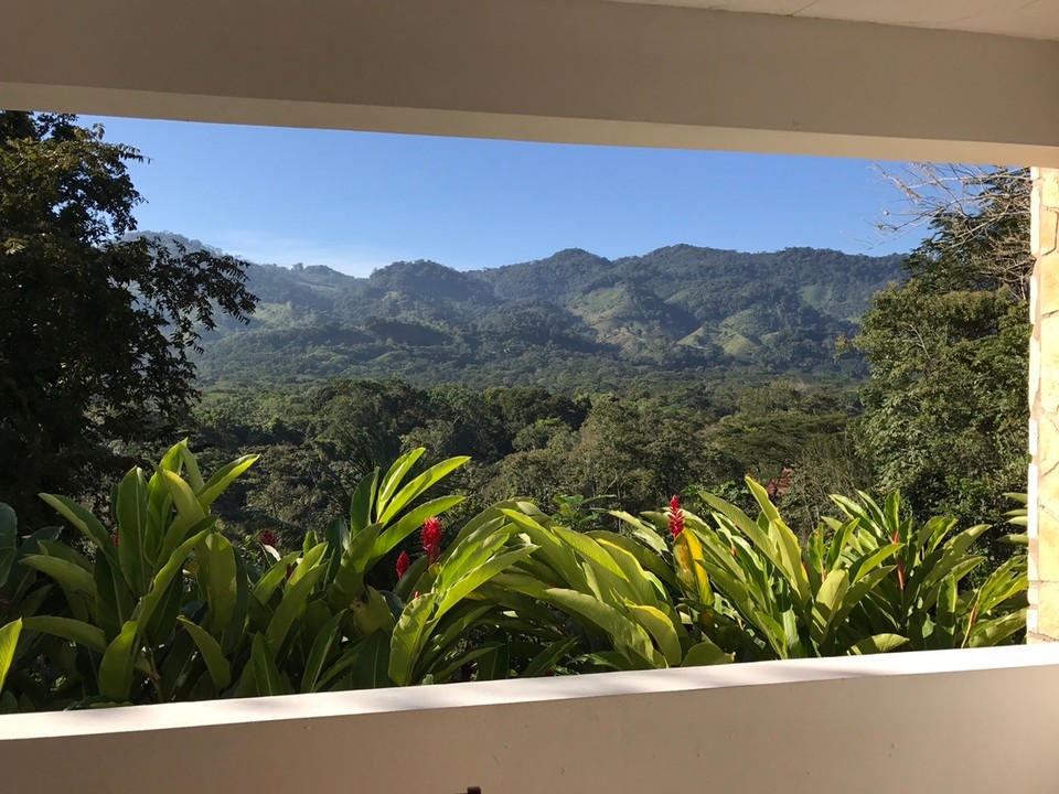 Mexiko - Palenque - Zimmer mit Aussicht ... und Brüllaffen 😊