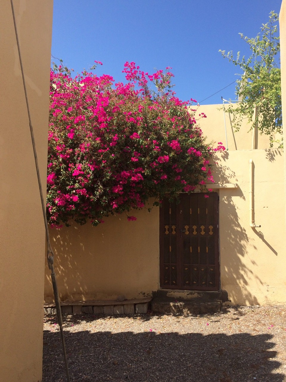 Oman - Sur - 