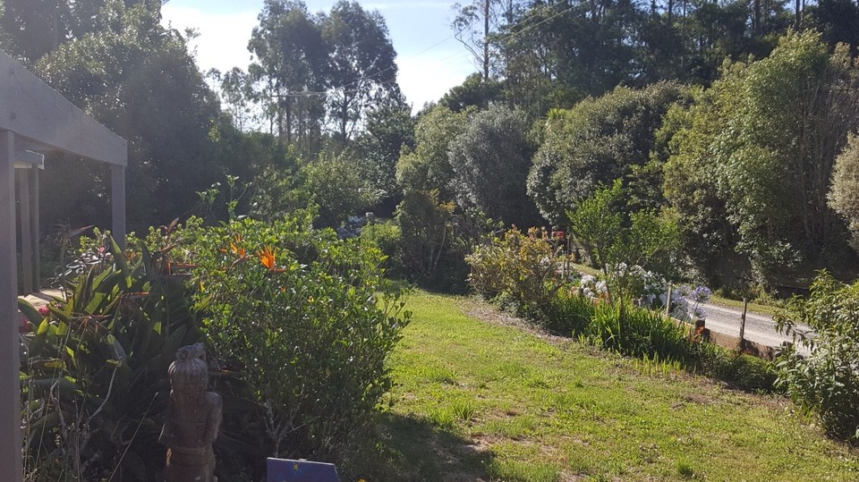 Neuseeland - Whakamarama - Der Garten von Christine.