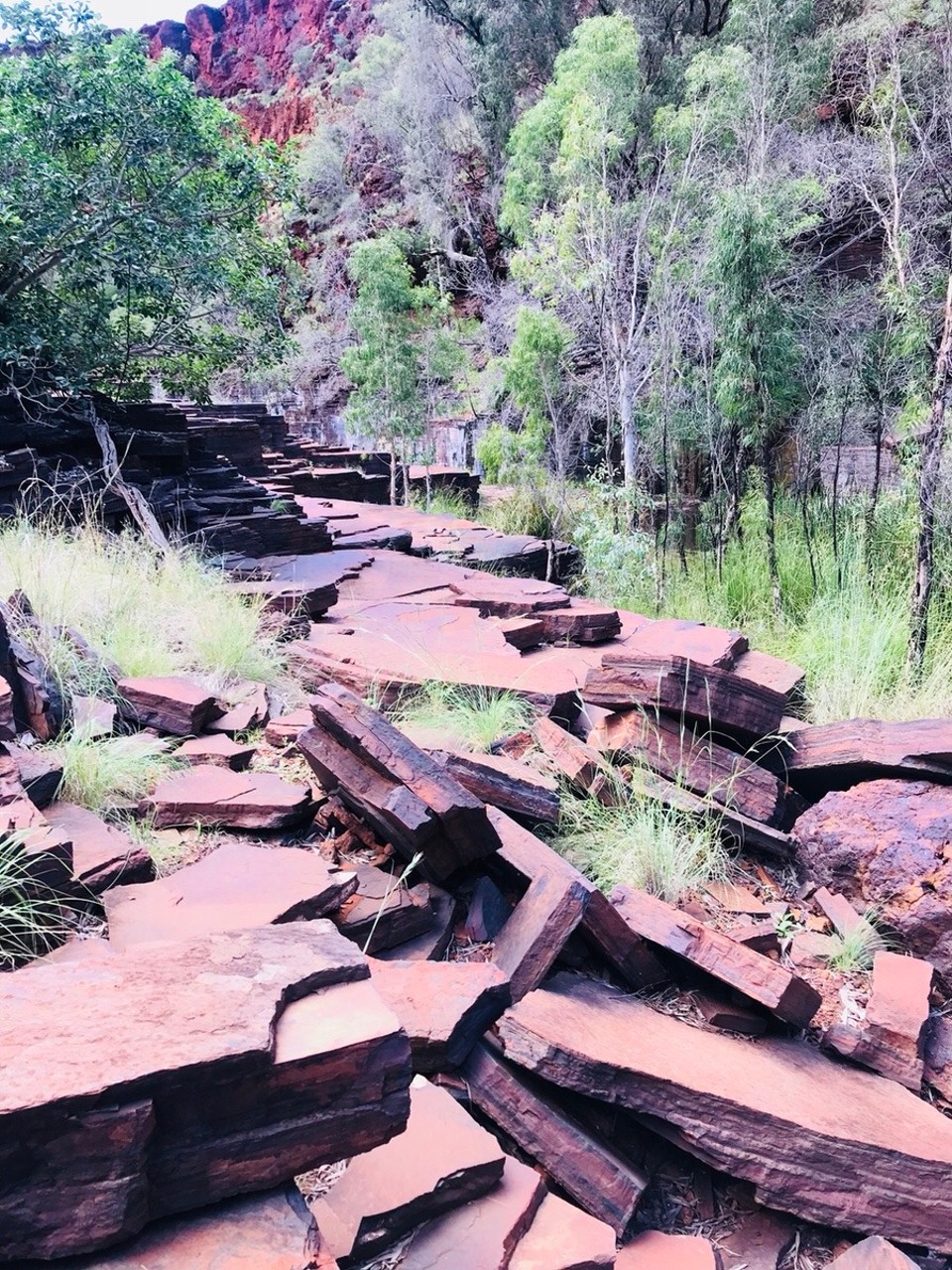 Australien -  - Die Wanderwege sind hier etwas anspruchsvoller...
