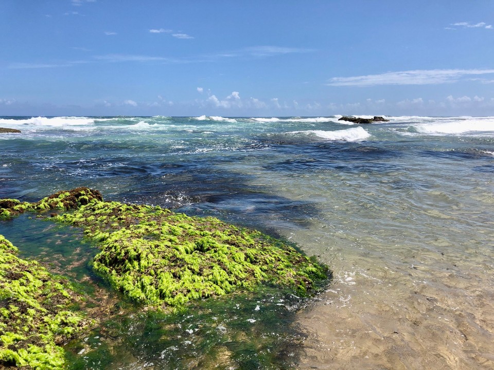 Brasilien - Salvador - 
