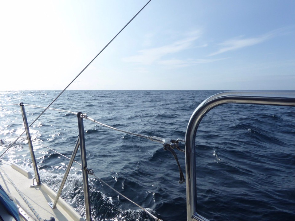 United Kingdom - Falmouth - Trying to capture the dolphins that joined us regularly on our journey, playing in our bow wave and diving under the boat.  In the end we just enjoyed their company.