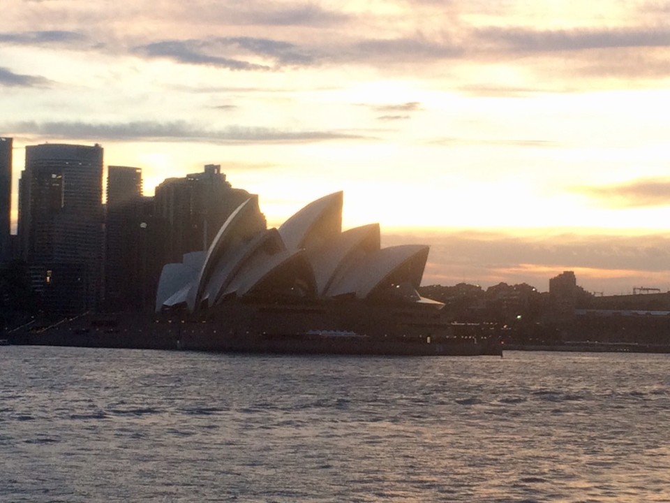 Australia - Annandale - The sea side view of the Opera House 