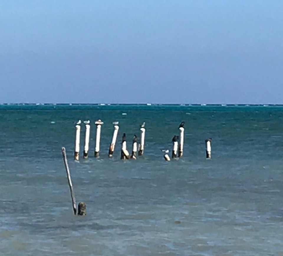 Belize - San Pedro - 