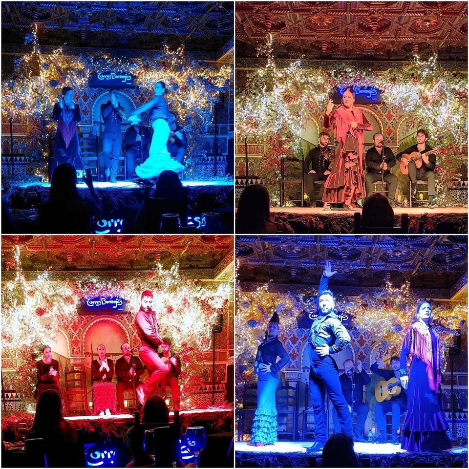 Spanien - Madrid - Flamenco-Show