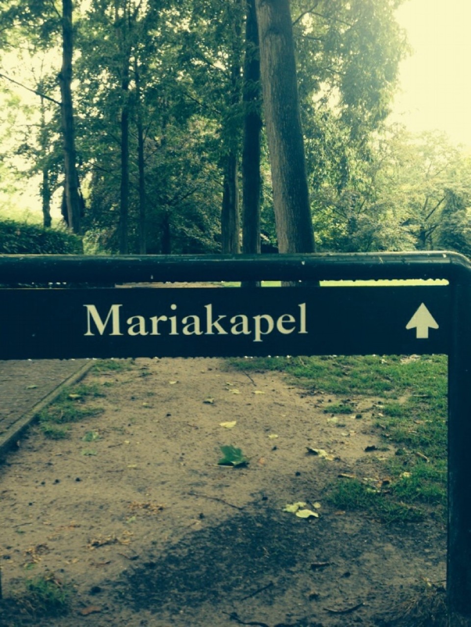 Niederlande - Tilburg - 
