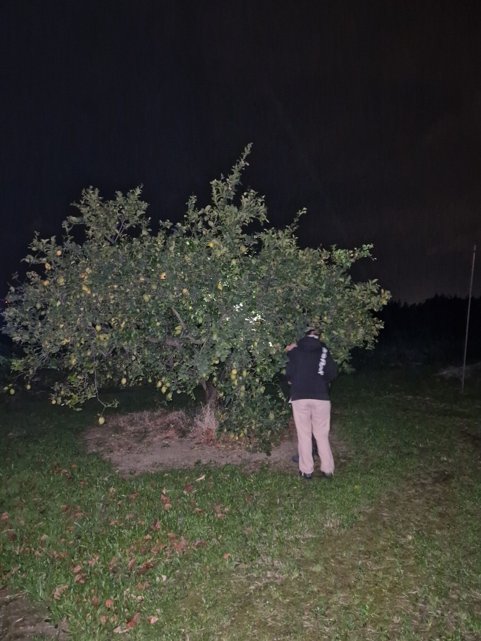 Italien - Catanzaro - 