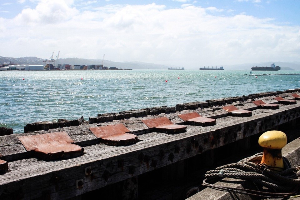 Neuseeland - Wellington - 