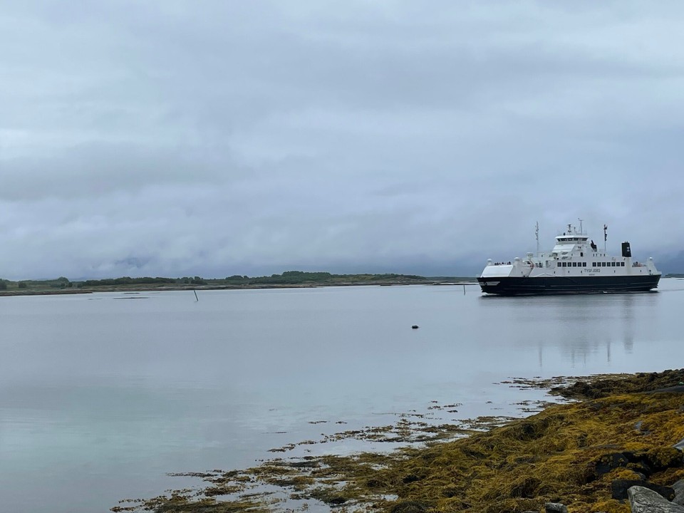 Norwegen - Henningsvær - …und da kommt sie auch schon 