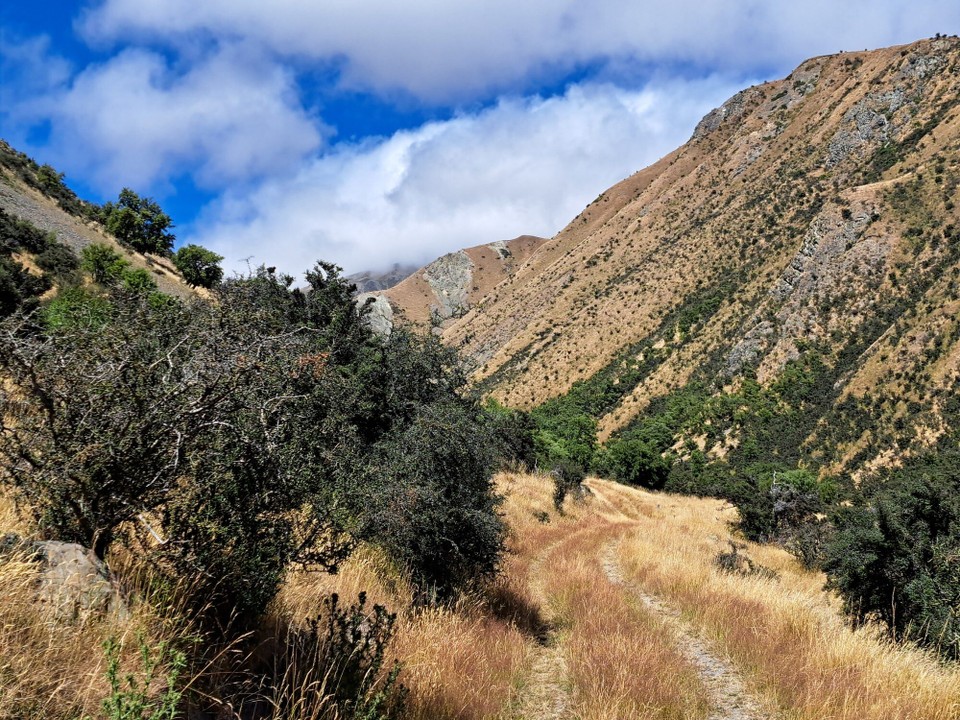 Neuseeland - Canterbury - 