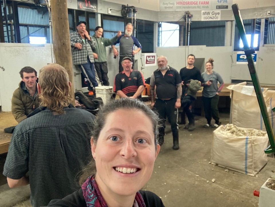 Neuseeland - Geraldine - Bei so vielen Schärern sind wir auch schnell fertig 🤓
Ach und Vokuhila ist hier wieder angesagt 😂 die nennen das aber Mullet