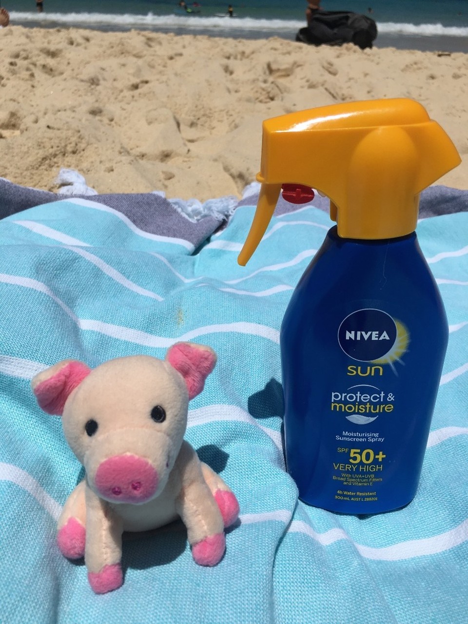 Australien - Bondi Beach - Auch Schweine bekommen Sonnenbrand