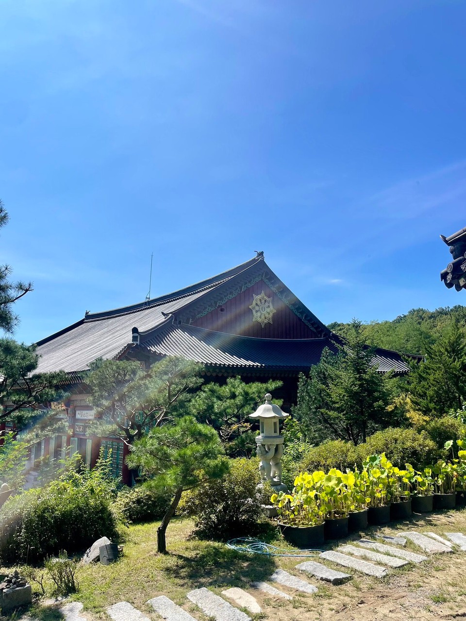대한민국 - 서울특별시 - De nöchst tempel i de nöchi (20' zFuess)
