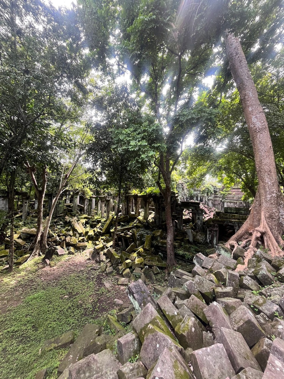 Cambodia - Siem Reap - 