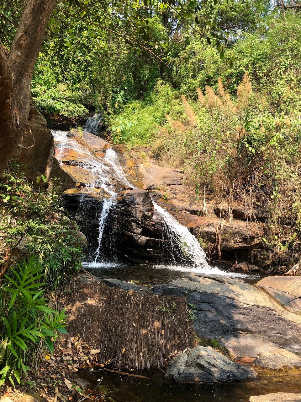 Thailand - Mueang Chiang Mai - Huay Keaw Waterfall 🐠