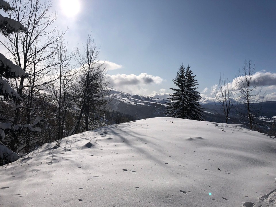 Frankreich - Villard de Lans - 