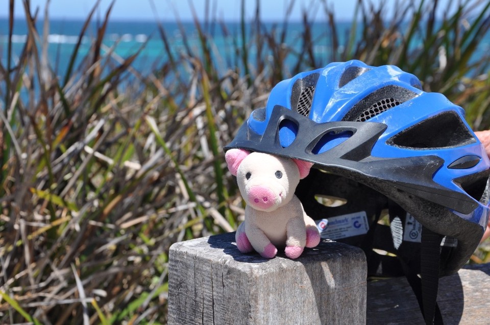 Australien - Rottnest Island - Helm?