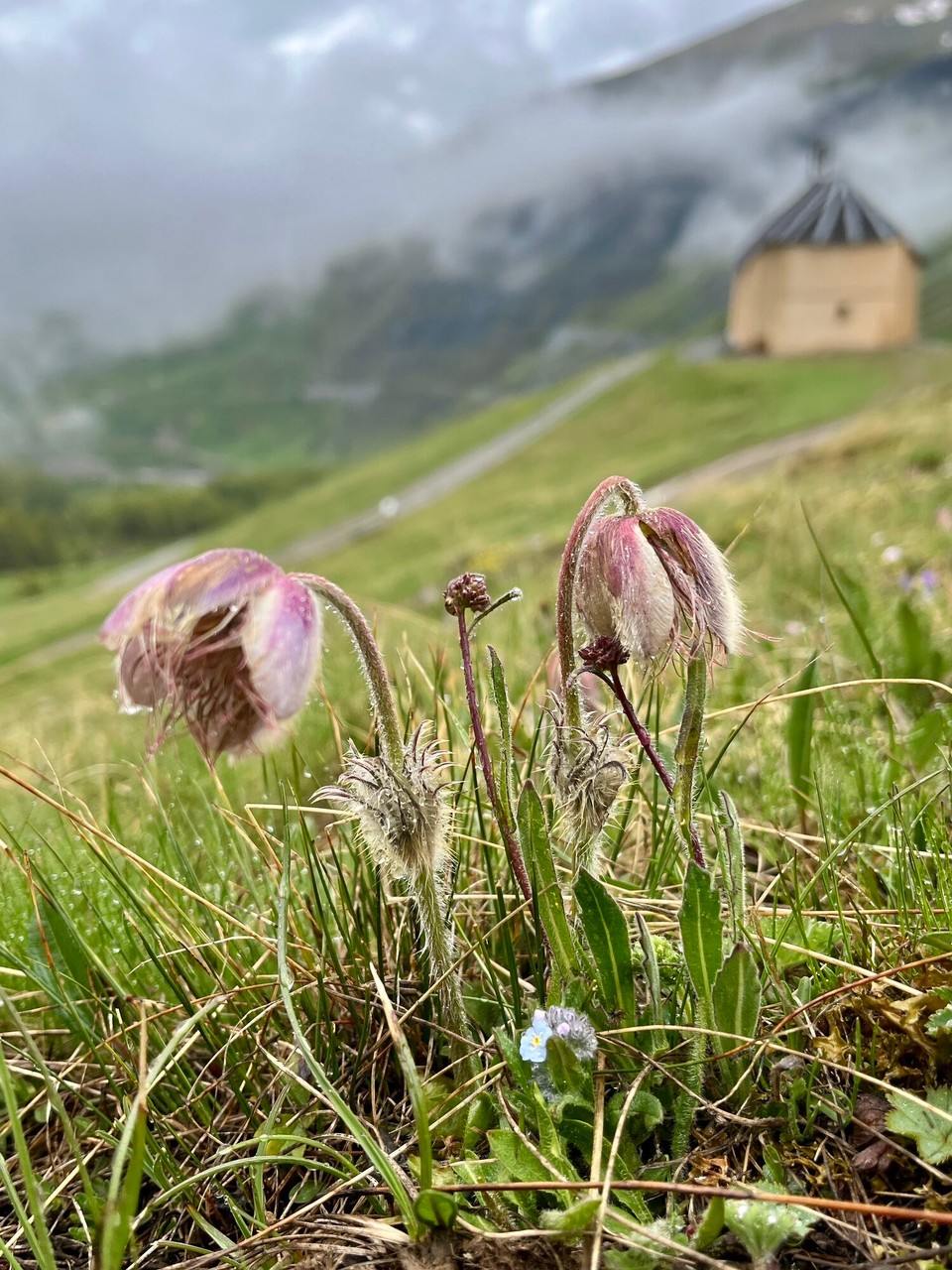Frankreich - Saint-Véran - 