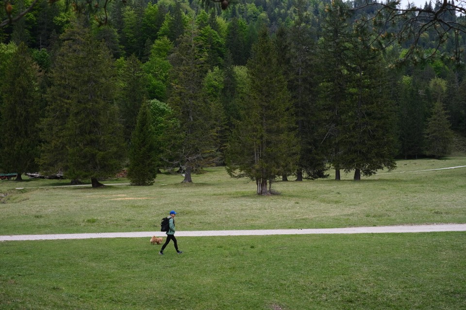Deutschland - Mittenwald - 