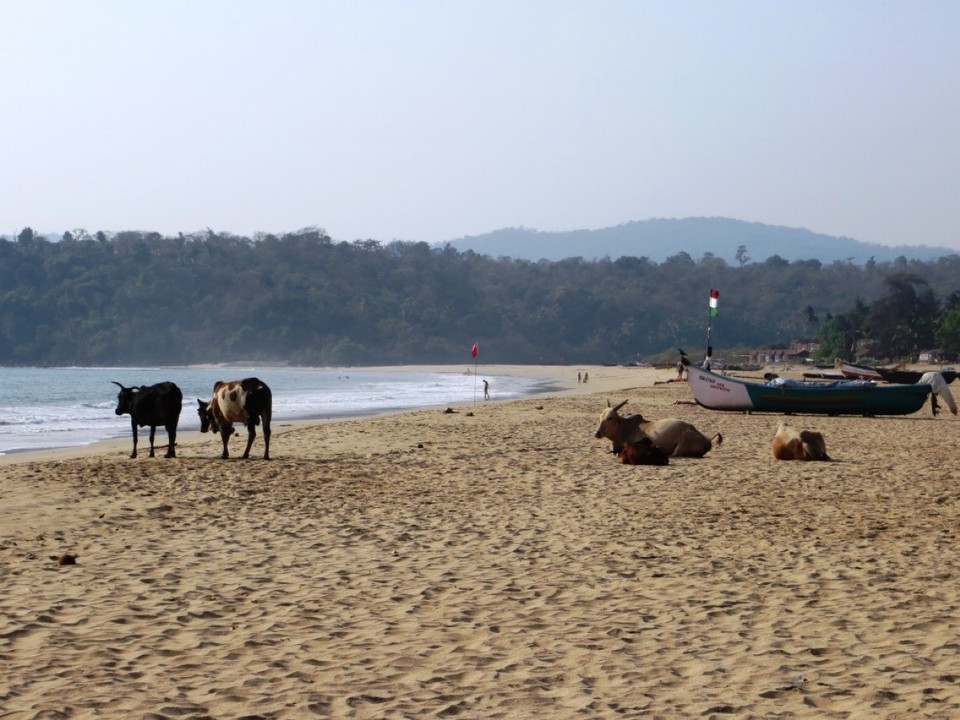 Indien - Agonda - 