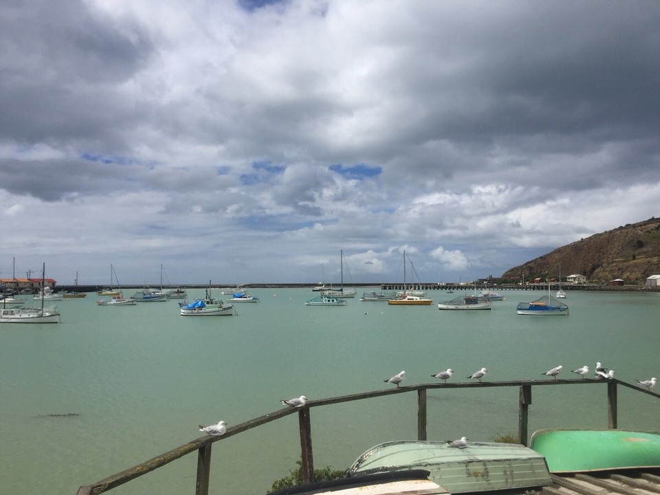 Neuseeland - Oamaru - Unser Campingplatz im Hafen von Oamaru 