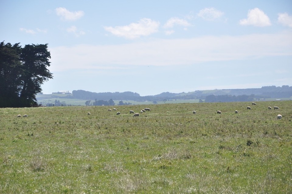 Neuseeland - Wanganui - 