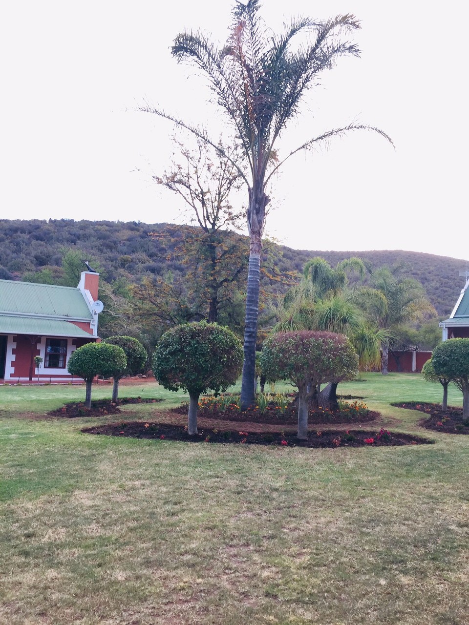 Südafrika - Oudtshoorn - 