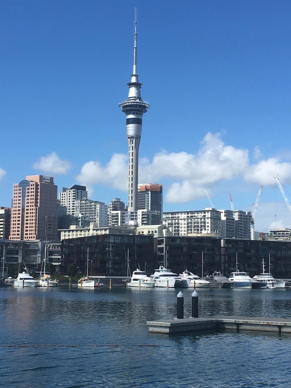 Neuseeland - Auckland - Auckland, Aussichtsturm