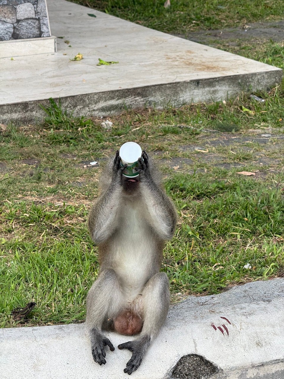 Malaysia - Kuala Lumpur - Selbstversorger